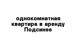 однокомнатная квартира в аренду Подсинее